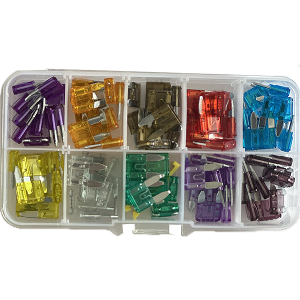 501970 - FUSIBLE ENFICHABLE' TYPE MINI ' assortiment de 100 pièces
