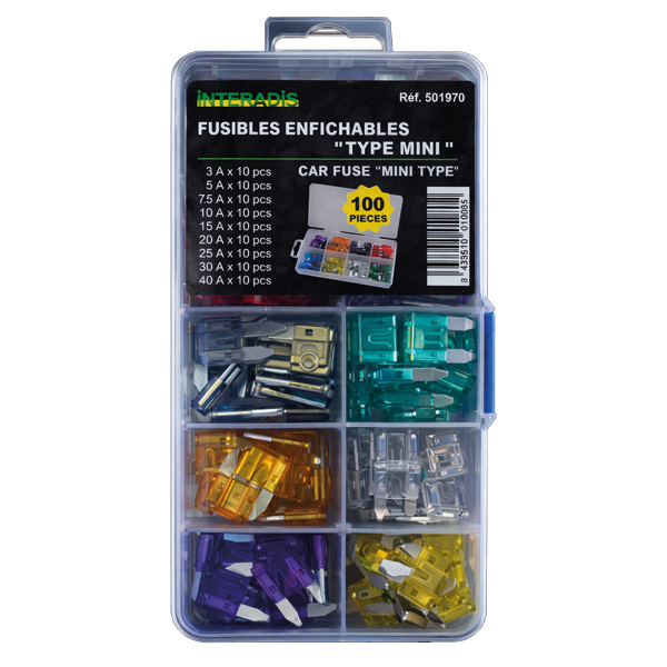 501970 - FUSIBLE ENFICHABLE' TYPE MINI ' assortiment de 100 pièces