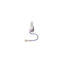 48351 - LAMPE H3. 12V .100W. culot PK22s ( usage routier interdit )
